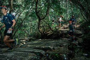 BIB: 
                            <button type="button" onclick="openModal(25864349)" class="btn btn-primary btn-sm float-right btn-popup" data-toggle="modal" data-target=".modal-high-quality">
                        <i class="fas fa-shopping-cart"></i> Add to Cart
                    </button>
                                            <button type="button" onclick="isThisMe(25864349, true)" class="btn btn-success btn-sm float-right btn-popup btn-isme hidden" data-toggle="tooltip" data-placement="bottom" title="นี่คือรูปของคุณใช่ไหม คลิกที่นี่เพื่อเอาเข้าอัลบั้ม">
                        <i class="fas fa-plus"></i> Add to album
                    </button>
                    <button type="button" onclick="isThisMe(25864349, false)" class="btn btn-warning btn-sm float-right btn-popup btn-isnotme hidden">
                        <i class="fas fa-ban"></i> Remove from album
                    </button>